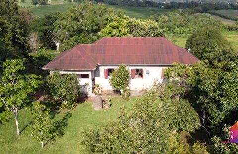 #807 Casarão Linha Santo Antônio