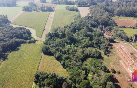 #809 Área chá da Índia.