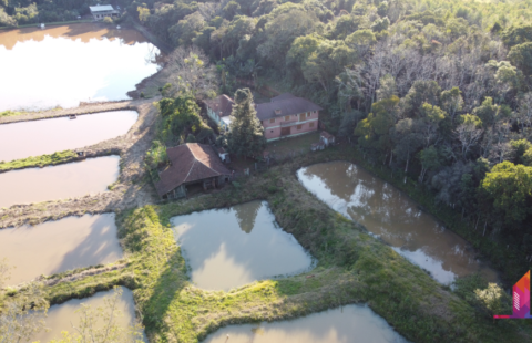 #810 Áreas em Costão/Estrela