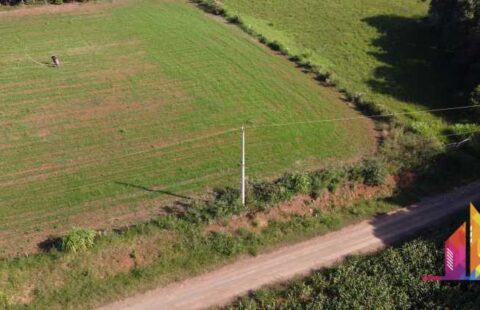 #817 Área de Terra; Chá da Índia.
