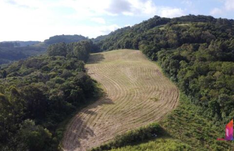 #815 Terras Leopoldina