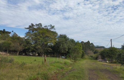 #637 Terreno Cruzeiro do Sul
