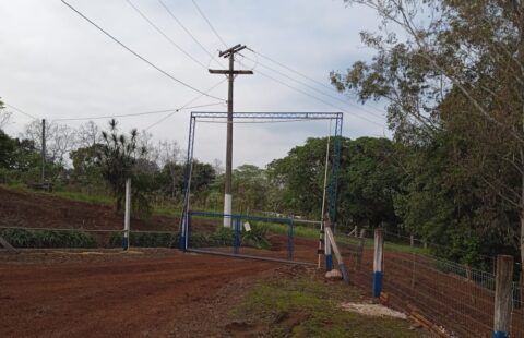 #823Área Cruzeiro do Sul RS