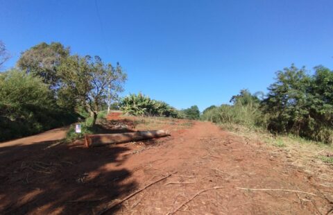 #808 Área de terra Novo Paraíso